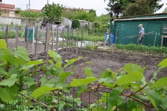 Cliquez sur la vignette pour l'agrandir